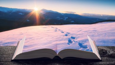 Mountain valley covered with fresh snow on the pages of an open magical book